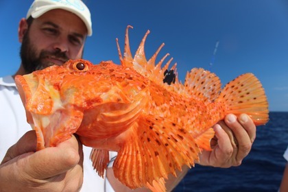 Verhuur Motorboot Pursuit Offshore 3000 Port de Pollença