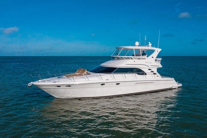 Charter Motor yacht Sea Ray 2020 Dubai Marina