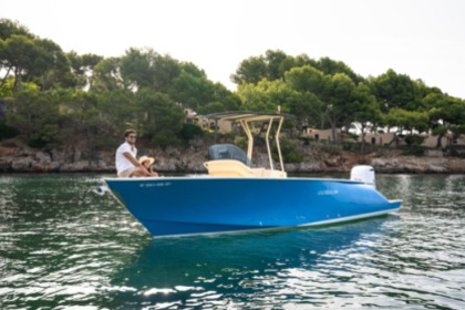 Hire Motorboat LILYBAEUM YACHT LEVANZO 25 Palma de Mallorca