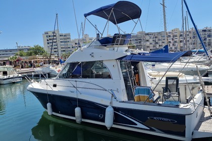 Charter Motorboat GOBBI 315 sc Carnon