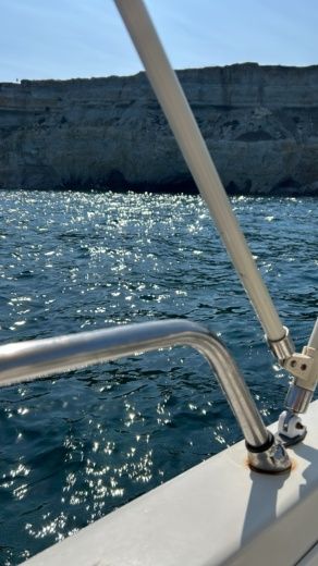 Syracuse Without license MANNINO STYLE 520 alt tag text