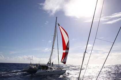 Charter Catamaran JEANTOT MARINE Privilège 51 Le Marin