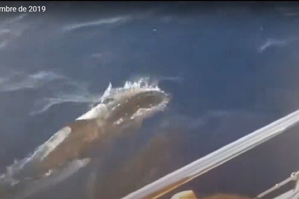 Alquiler Velero Jeanneau Sun Odyssey 349 Mataró