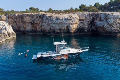 Charter Motorboat Sportcraft 252 Medulin