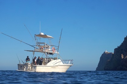 Location Bateau à moteur Pursuit Offshore 3000 Port de Pollença