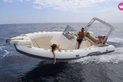 Hire Motorboat Capelli Capelli Tempest 775 Golfe Juan