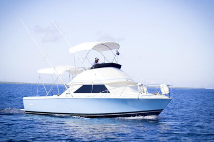 Alquiler Yate a motor Bertram 28 La Romana