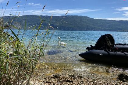 Hire Motorboat Sillinger 470 Le Bourget-du-Lac