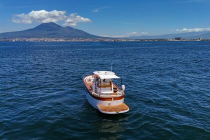 Charter Motorboat Mimi Libeccio 9.5 WA Ischia