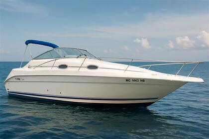 Hire Motorboat Sea Ray 250 Mandelieu-La Napoule