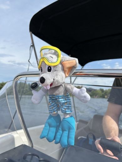 Radolfzell am Bodensee Motorboat Quicksilver 555 Activ Open alt tag text