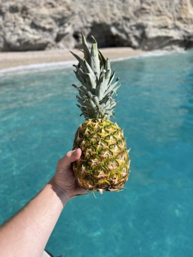 Korfu Without license Next 510 alt tag text