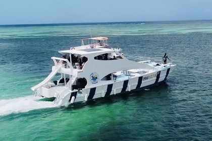 Rental Motor yacht X-yachts Sea 270 Punta Cana