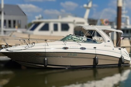 Verhuur Motorboot Sea Ray 315 Sundancer Thorn