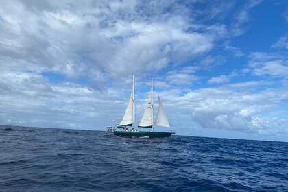 Location Voilier Southern Ocean Ocean60 Martinique