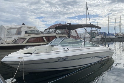 Miete Motorboot Sea Ray 190 Bow Rider Bielersee