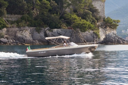 Charter Motorboat Asterie 35 Portofino