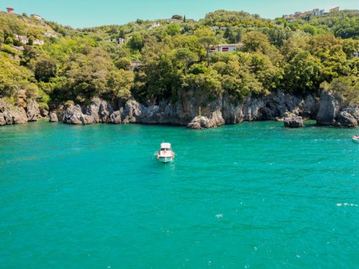 Motorboat Cinque Terre Gozzo in legno - All inclusive Boat layout