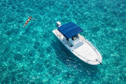 Rental Motorboat Boston Whaler Dauntless 22 La Spezia