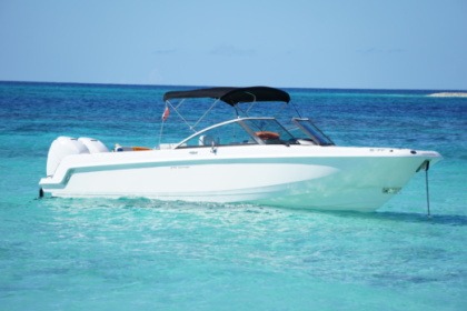Rental Motorboat BOSTON WHALER 270 Marigot