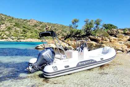 Rental RIB Capelli Capelli Tempest 630 S Saint-Florent