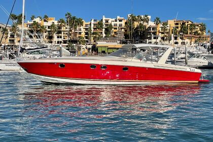 Charter Motorboat Baia 43ft Cabo San Lucas