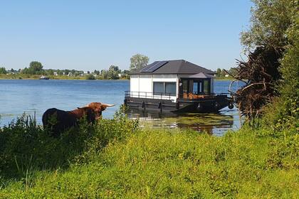 Verhuur Boot zonder vaarbewijs  Henkelman Rivercottage 1100 Kerkdriel