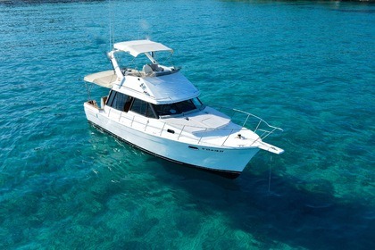 Alquiler Lancha Bayliner 3288 flybridge Ibiza