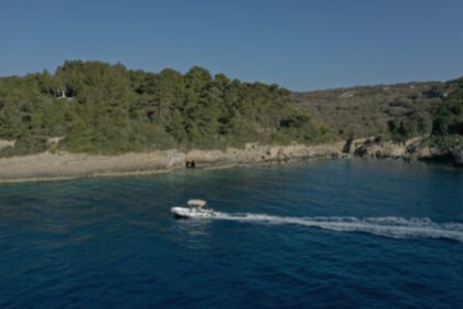 Rental Boat without license  Poseidon 470 Pilos