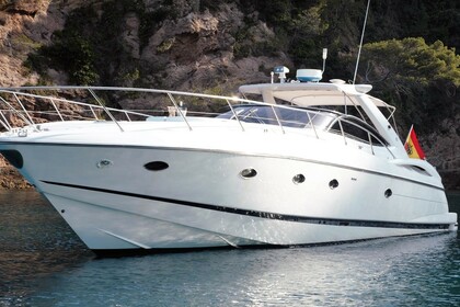 Aluguel Iate SUNSEEKER PREDATOR 56 Maó